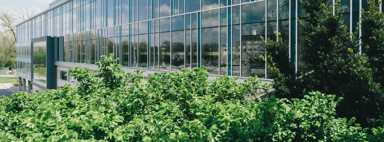 modern business building with green environment