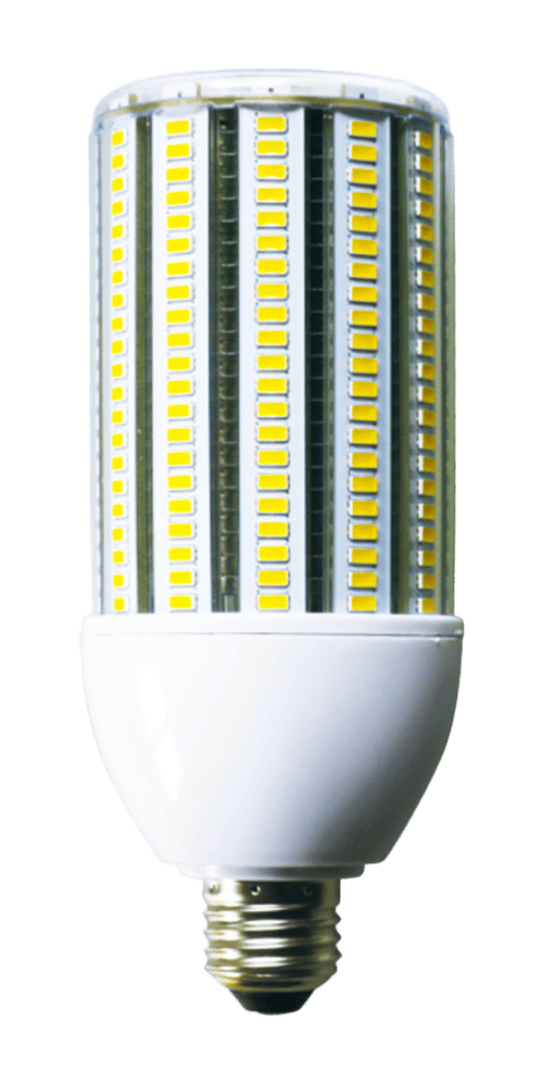 Cornbulb 1