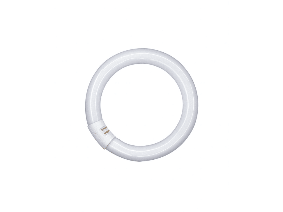 Rengasloistelamppu-40W-840-G10q-49337_1